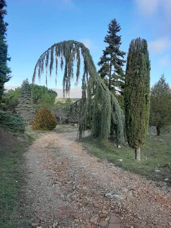 Domaine De La Xavoliere Hotel Saint-Cézaire-sur-Siagne Exterior foto