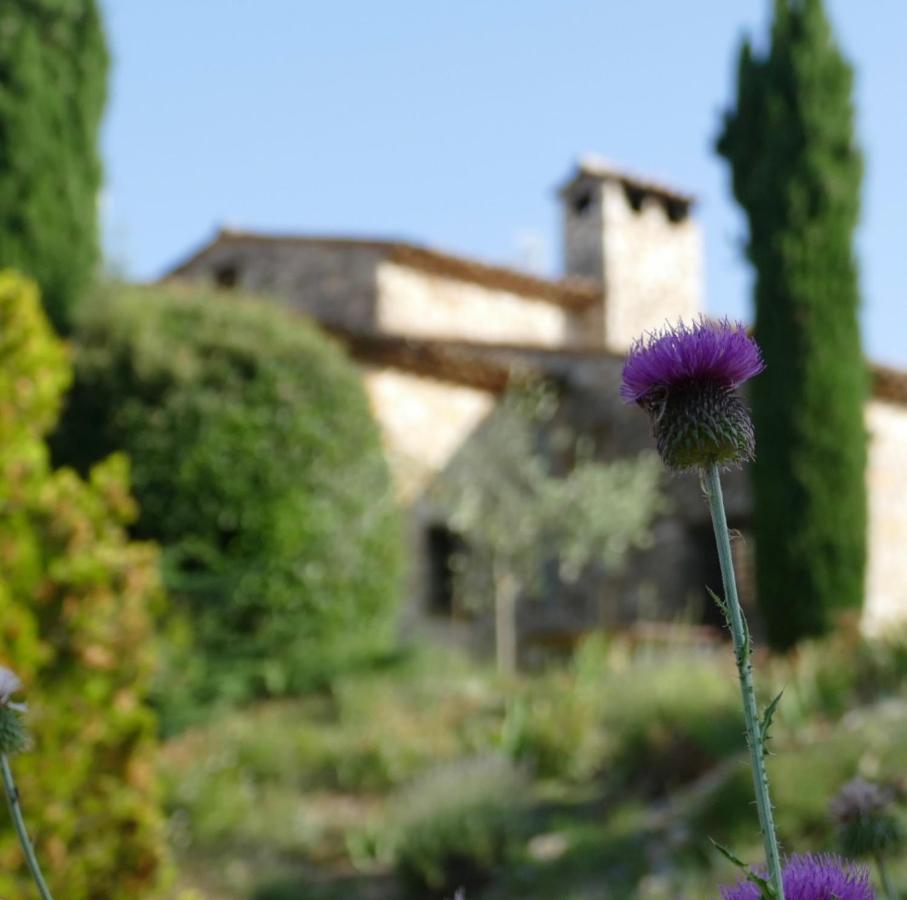 Domaine De La Xavoliere Hotel Saint-Cézaire-sur-Siagne Exterior foto