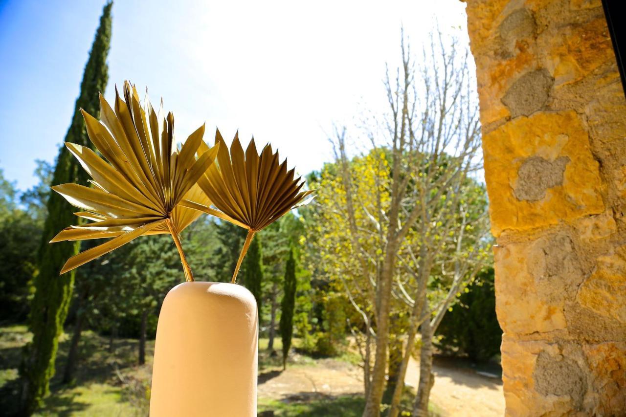 Domaine De La Xavoliere Hotel Saint-Cézaire-sur-Siagne Exterior foto